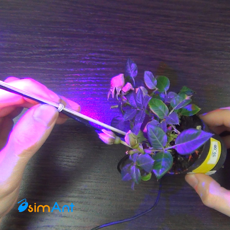 LED подсветка для растения воткнутая в горшок с землей